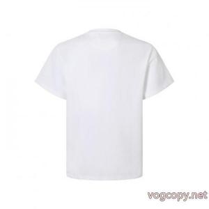 ブランド 激安FENDI品質保証定番 今年の大トレンド 洗練された雰囲気半袖Tシャツ
